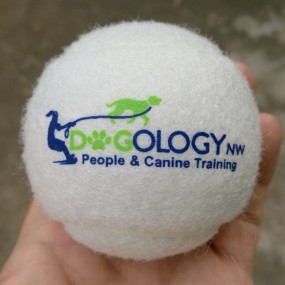 balles de tennis imprimées pour clubs de tennis