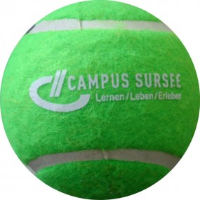 Balle de Tennis avec Logo | BallesTennisLogo.com