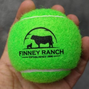 fabricant de balles de tennis personnalisées