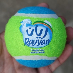 Balles de Tennis Personnalisées avec Logo | Fabricant D...