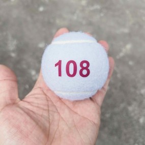 Balles de Tennis Blanches Personnalisées | BallesTennis...